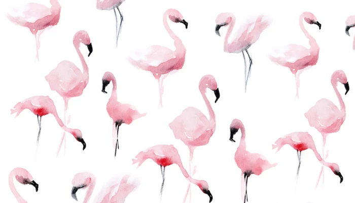 pink flamingos drawn in watercolor on white background cute aesthetic wallpapers