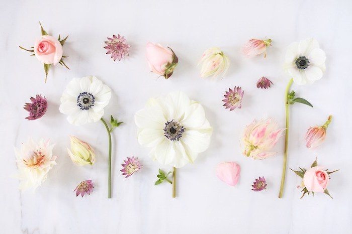 pink white purple flowers arranged on white surface vintage flower background photographed from above