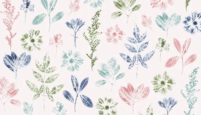 pretty flower backgrounds drawings of pink blue green flowers plants drawn on white background