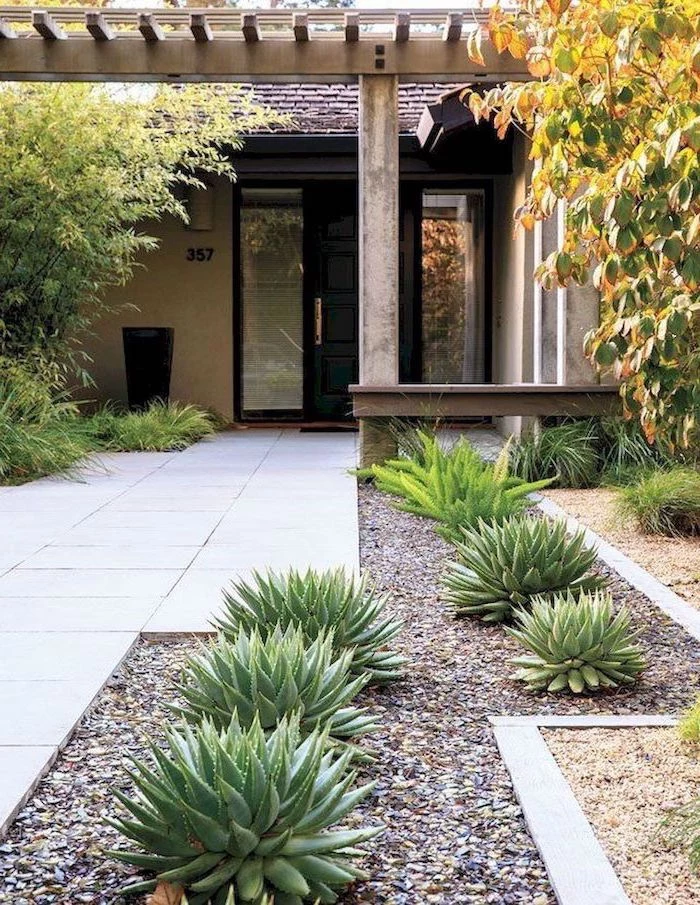 succulents aloe vera planted in gravel next to tiled pathway leading to black front door simple landscaping ideas