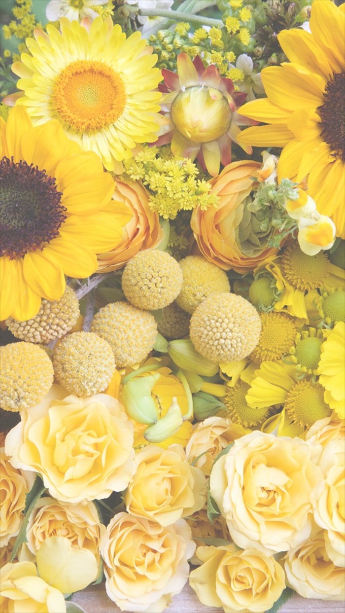 sunflowers yellow roses peony flowers cute flower wallpapers yellow flower arrangement