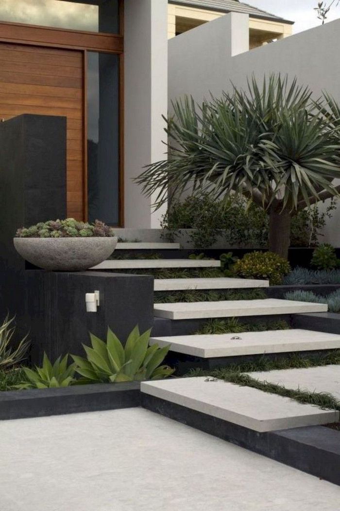 white levelled tiles stairase leading to large wooden door cheap landscaping ideas surrounded by bushes succulents and palm tree