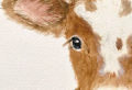 How To Draw Animals – Inspiration And Step By Step Tutorials