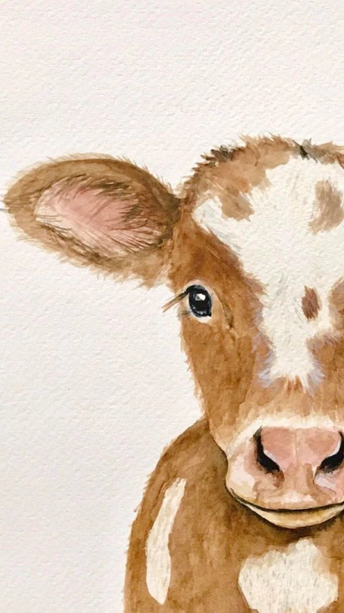 baby cow watercolor drawing on white background easy animal sketches half of its head drawn in brown with white spots