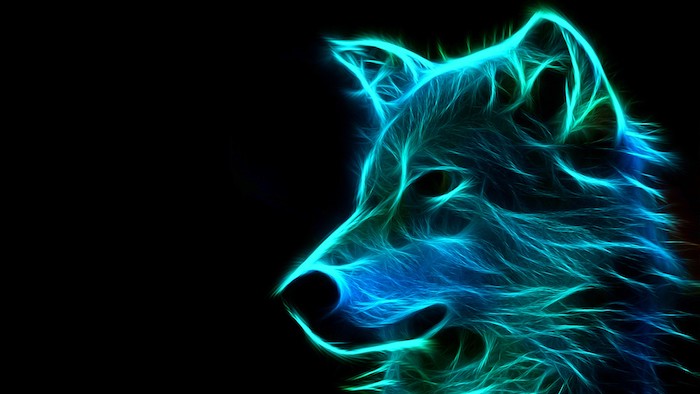 black background free wallpaper for computer neon silhouette of wolf head in blue and green