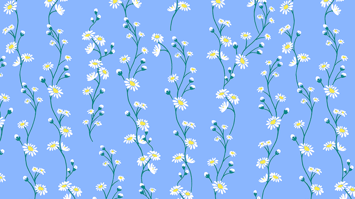 blue background with lots of white daisies drawn on it cute wallpapers for laptop wreaths of daisies