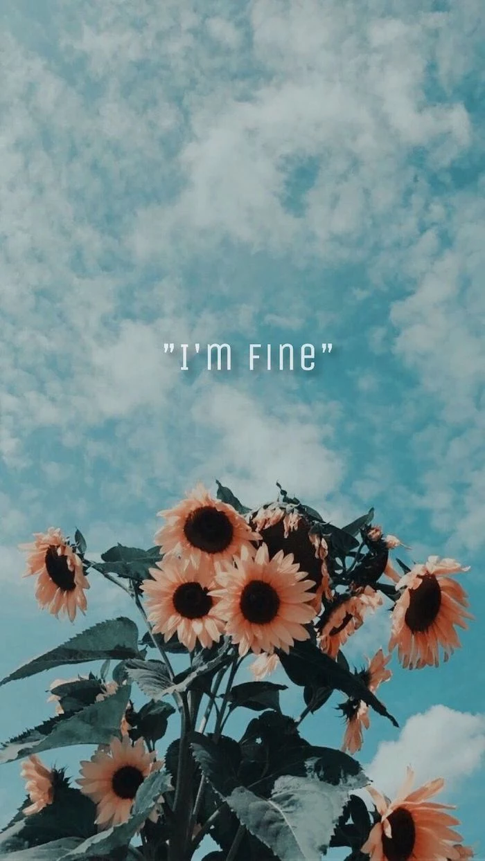 blue sky with clouds im fine written on it vsco wallpaper sunflowers on the bottom under the sign