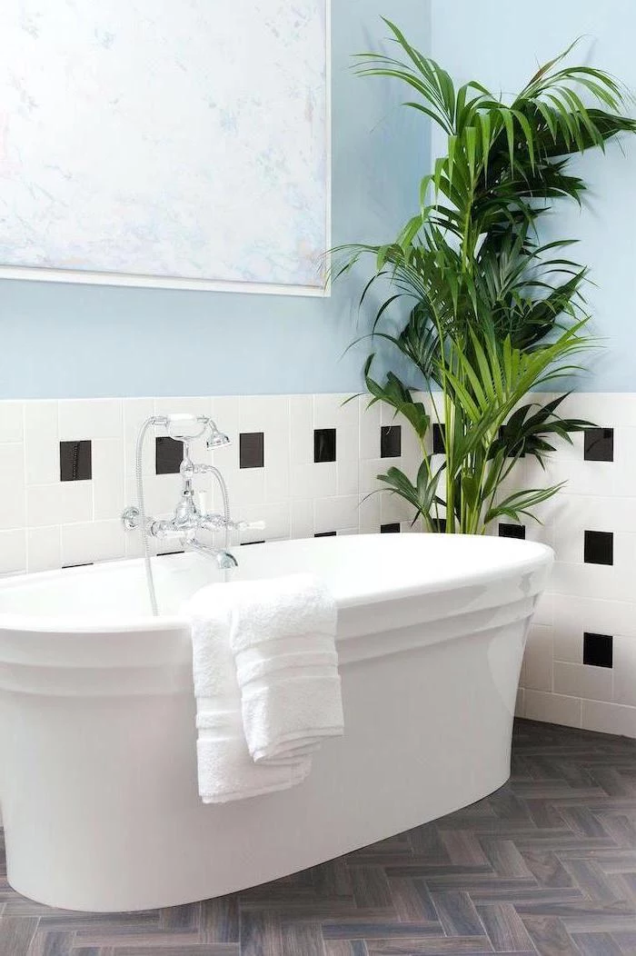 blue wall with white and black tiles bathroom ideas photo gallery wooden floor white bathtub large plant in the corner
