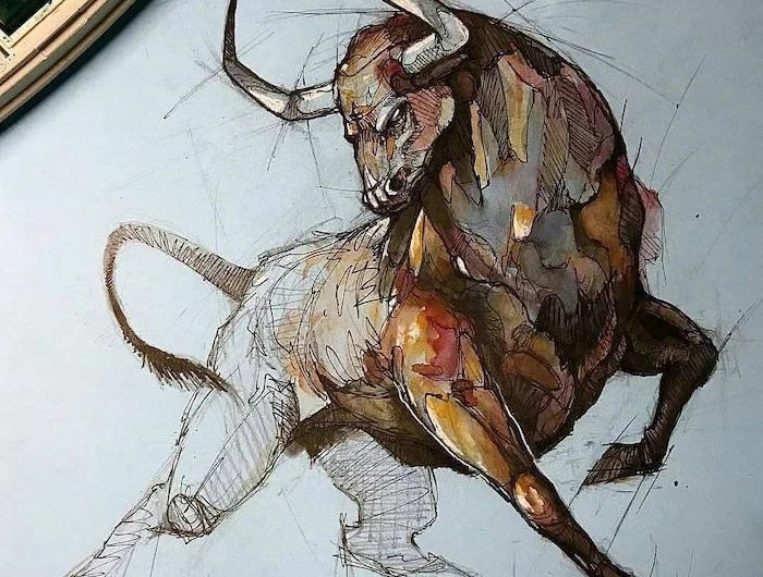 bull drawin with pencil and watercolor step by step drawing animals painted on white background