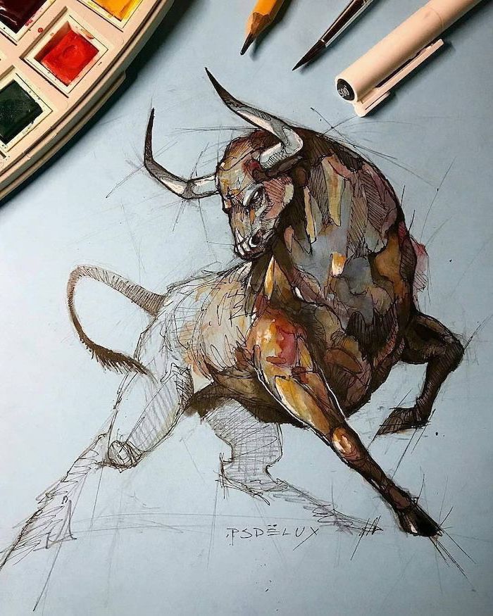 best drawings of animals