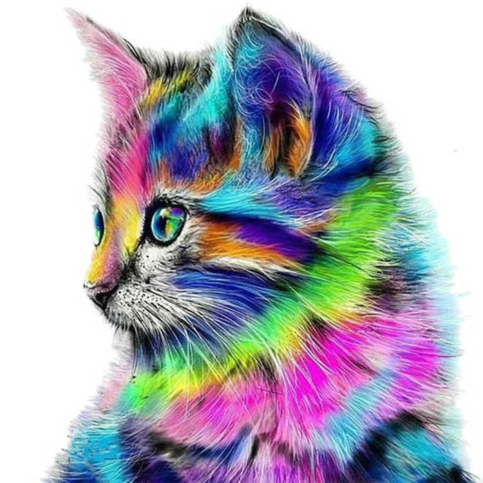 cat drawn in different colors easy animal sketches profile of a kitten with the colors of the rainbow