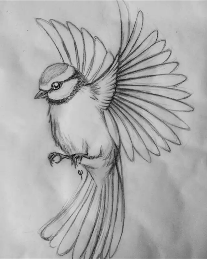 Featured image of post The Best 20 Pencil Easy Cute Animal Drawings