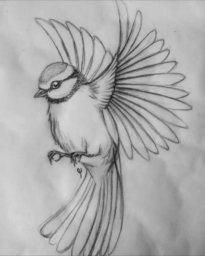 Easy Pencil Drawings Of Cute Animals Easy Pencil Drawings Of Cute Animals