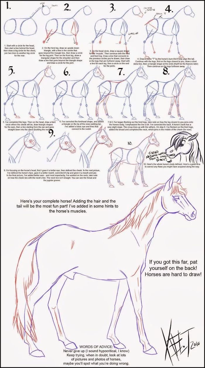 diy tutorial step by step with explanation how to draw a hotse easy animals to draw pencil sketch on white background