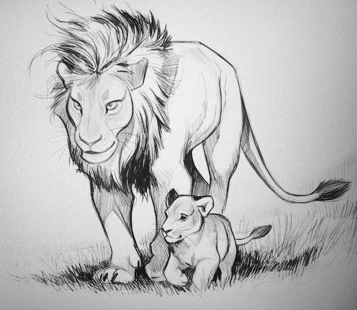 drawing of a lion with its cub how to draw animals easy black pencil drawing on white background