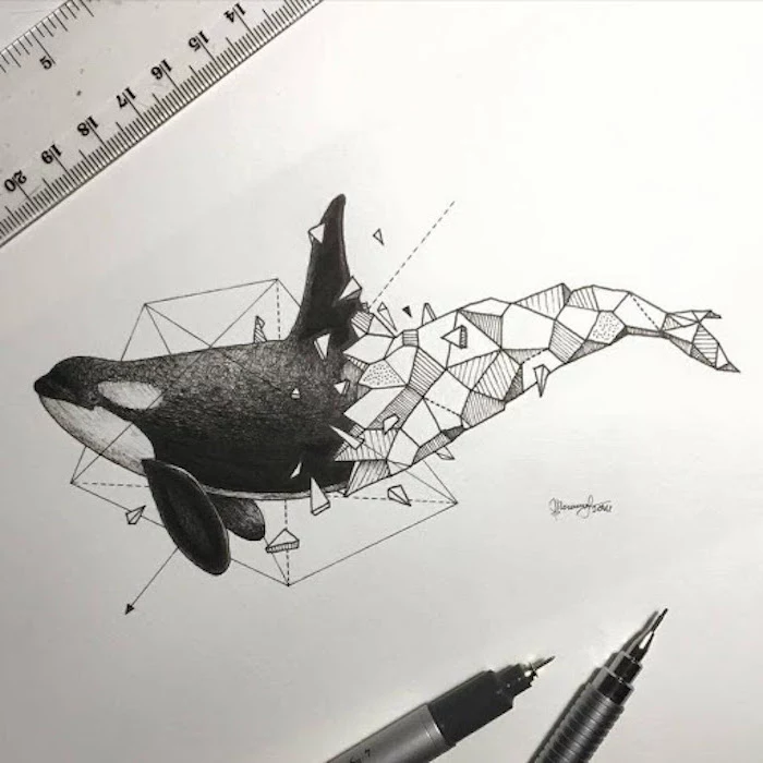 drawing of a whale half whale in black other half geometrical pictures of animals to draw white background