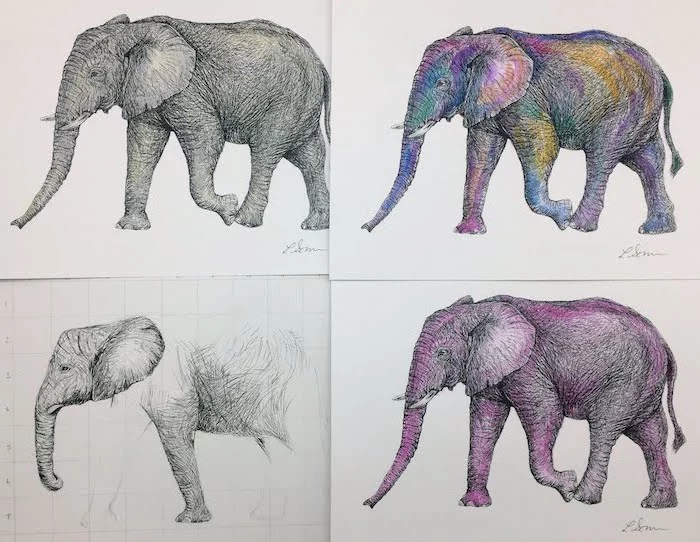 drawing of an elephant colored in different colors step by step drawing animals drawn in four steps diy tutorial