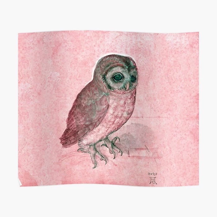 drawing of an owl in abstract colors how to draw animals step by step pink and green owl drawn on pink background