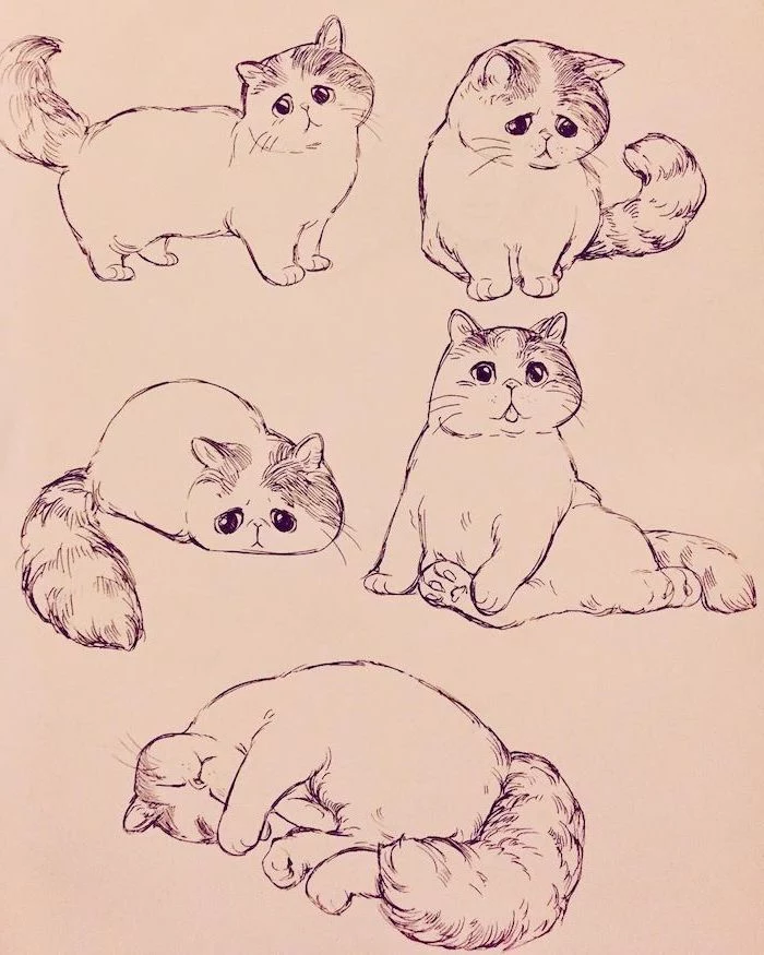 drawings of a cat in different poses how to draw animals easy black pencil sketch on white background sad looking cat