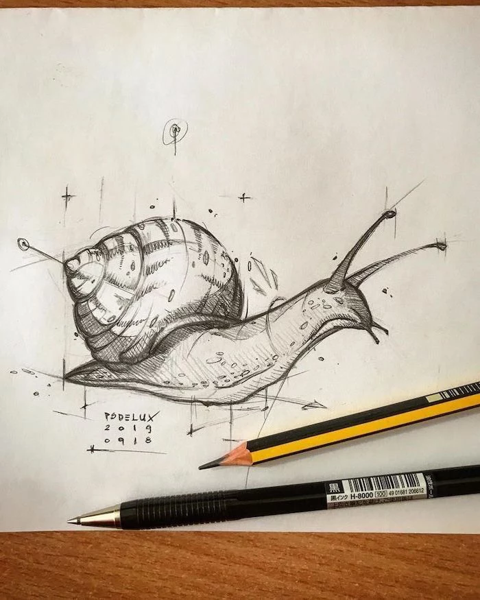 easy animal sketches black pencil drawing on white background of snail with absract lines