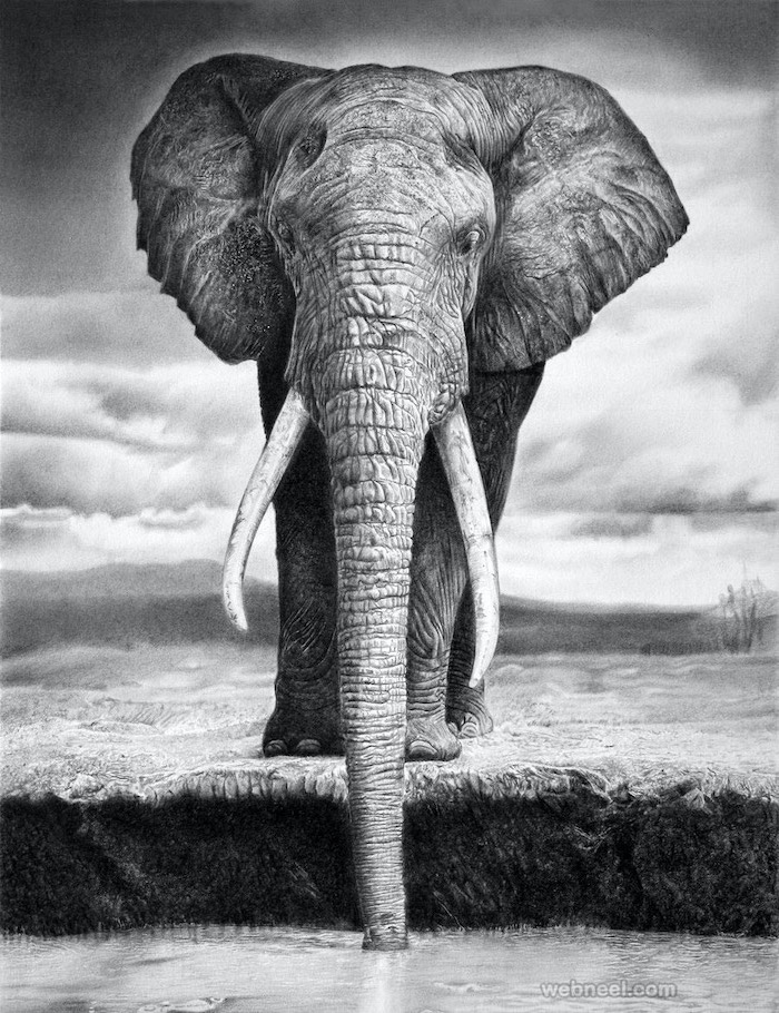 easy animals to draw realistic pencil drawing of an elephant standing next to lake black pencil sketch