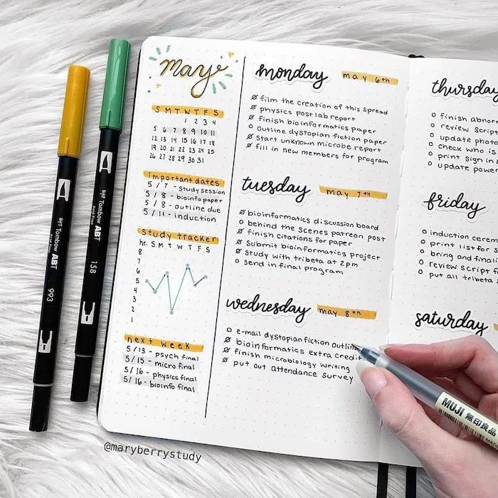 how to bullet journal weekly plan for each day of the week written with black pen on white notebook