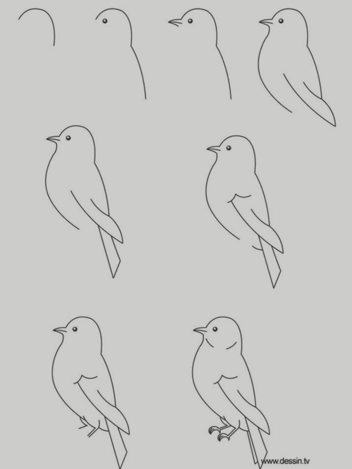 easy animals to draw step by step