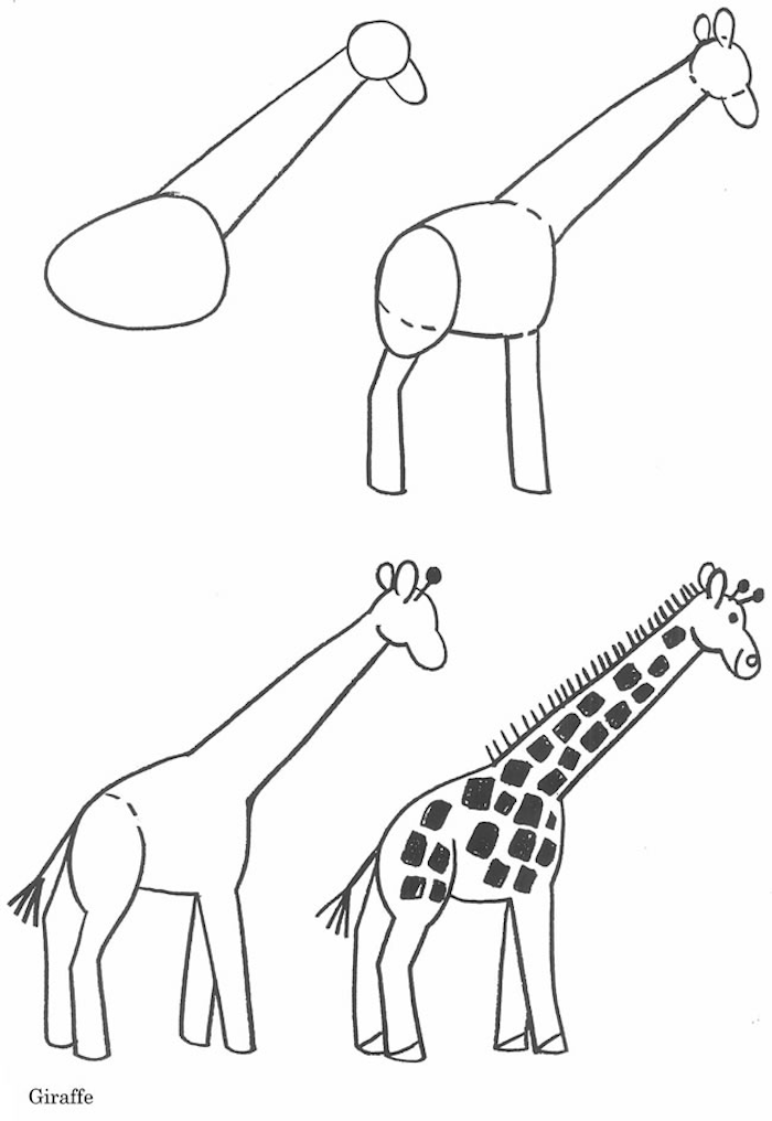 simple drawings of animals