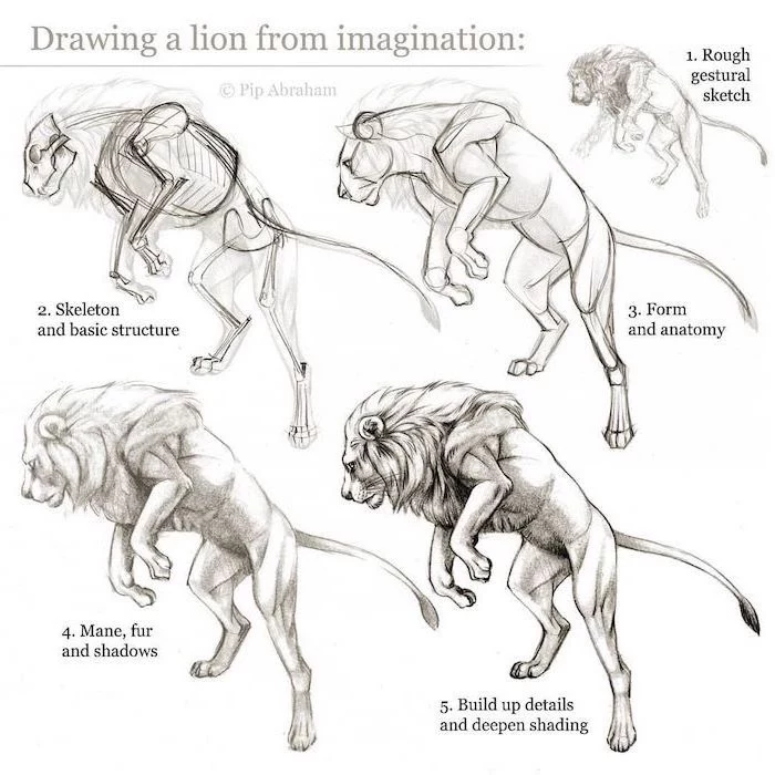 how to draw a lion step by step diy tutorial how to draw animals black pencil sketch on white background