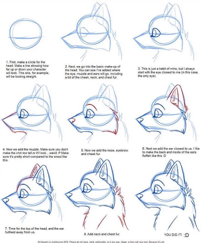 how to draw the head of a dog in nine steps with explanations cute animal drawings easy white background