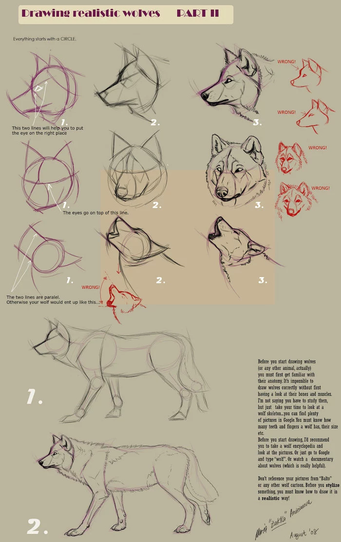how to draw wolves from different angles realistic animal drawings step by step diy tutorials