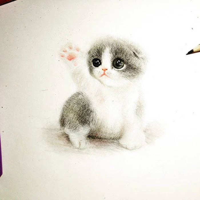 pictures of animals to draw small kitten realistic drawing in black white and pink drawn on white background