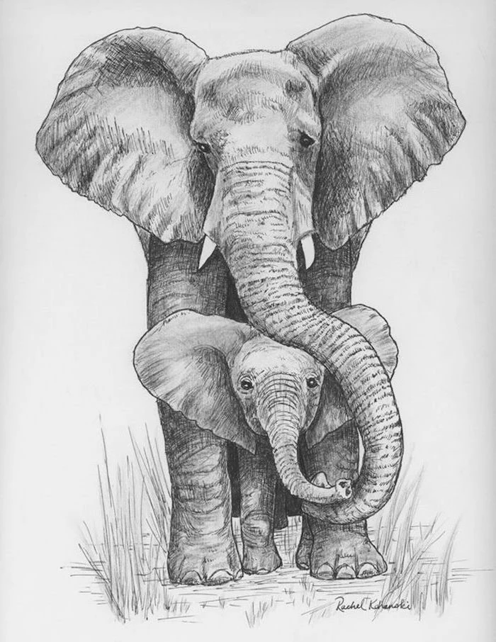 realistic animal drawings big elephant with baby elephant walking black and white pencil drawing on white background