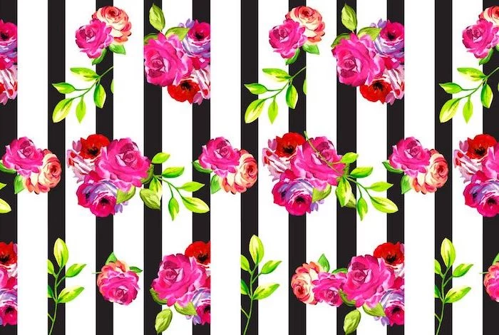 roses in pink and orange in a few bunches desktop backgrounds black and white striped background