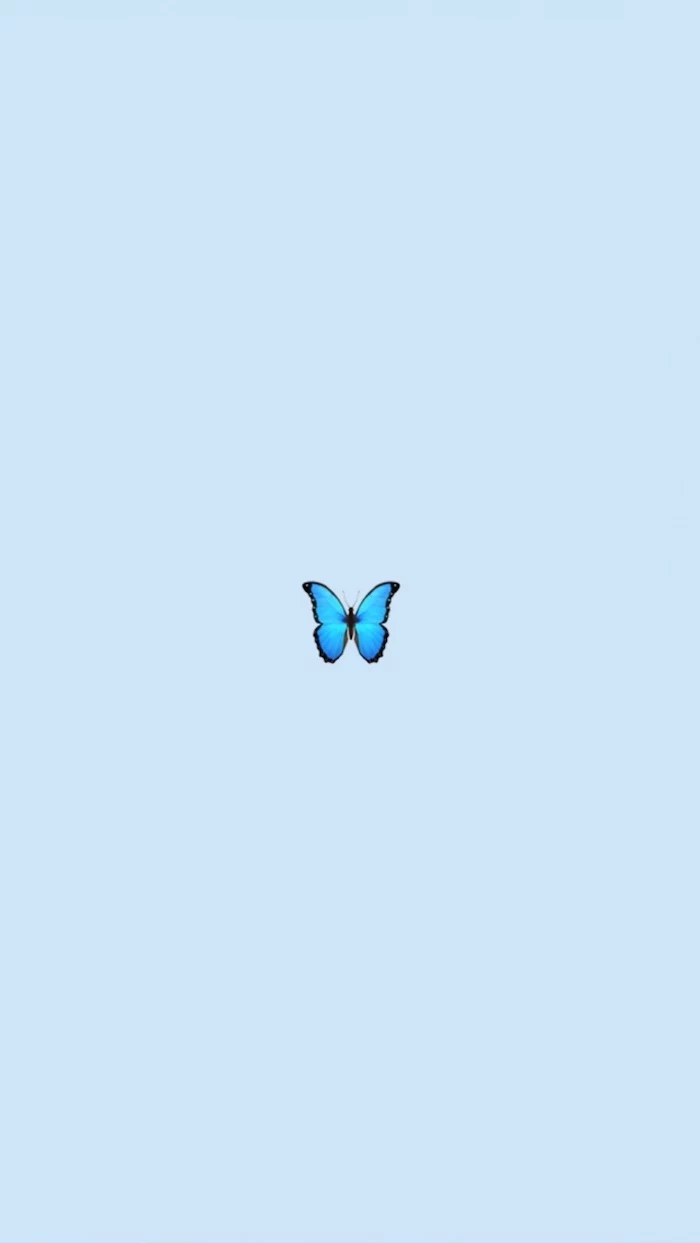 small blue butterfly in the middle of light pastel blue background vsco girl backgrounds