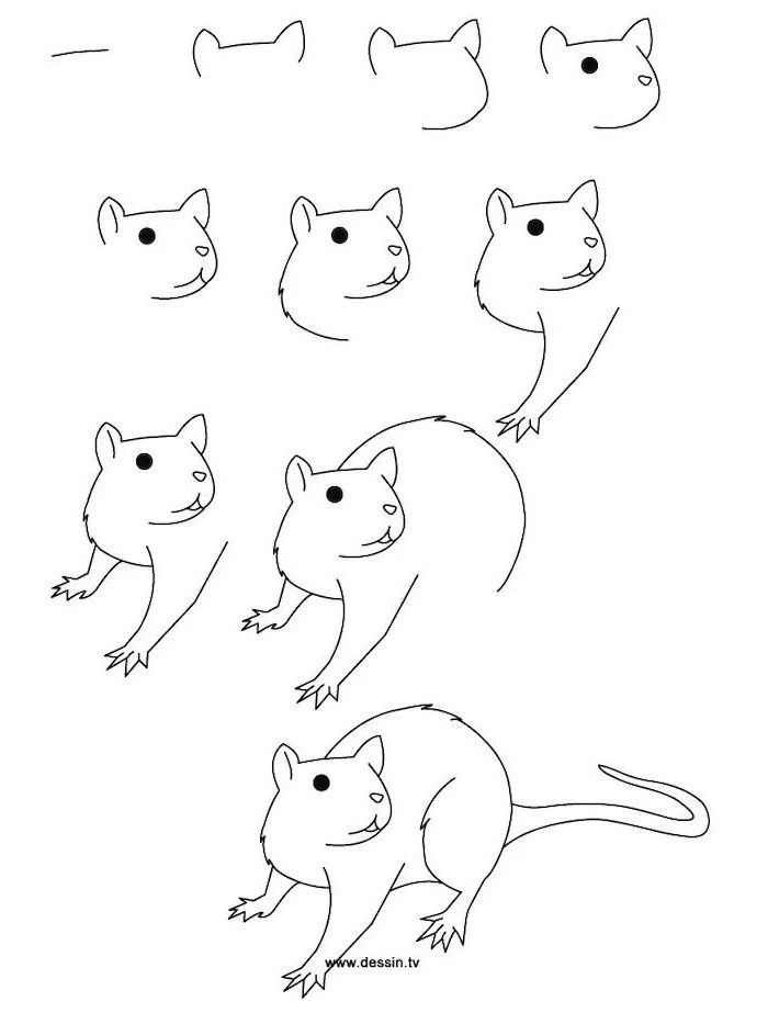 step by step diy tutorial how to draw a mouse how to draw animals black pencil sketch on white background