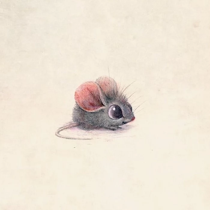 step by step drawing animals colored pencil drawing of a small cartoon mouse drawn on white background
