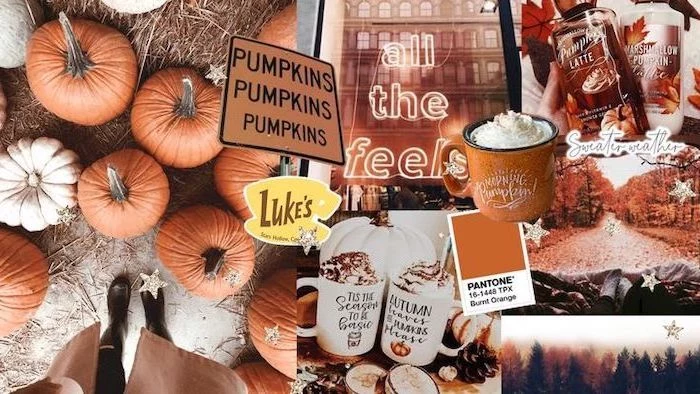autumn wallpaper photo collage with photos of pumpkins lattes trees with orange leaves all the feels neon sign