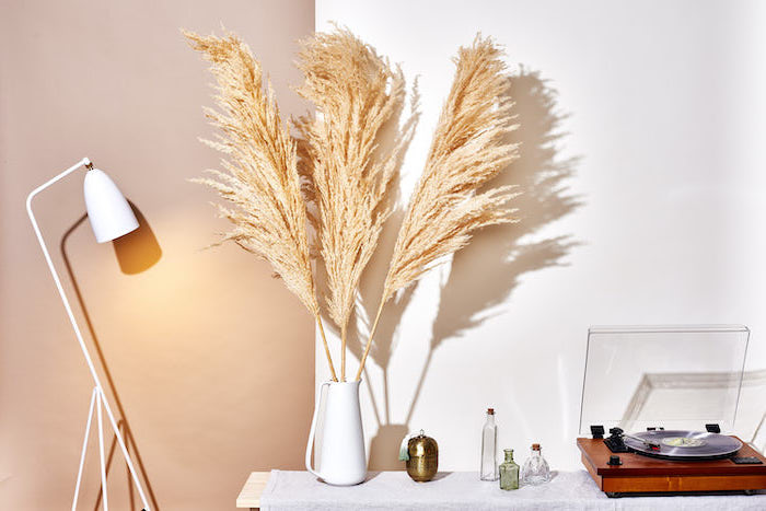 beige and white wall faux pampas grass wooden bench with vinyl player and white ceramic vase on top