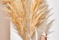 Pampas Grass Decor Ideas For a Lush, Boho Interior