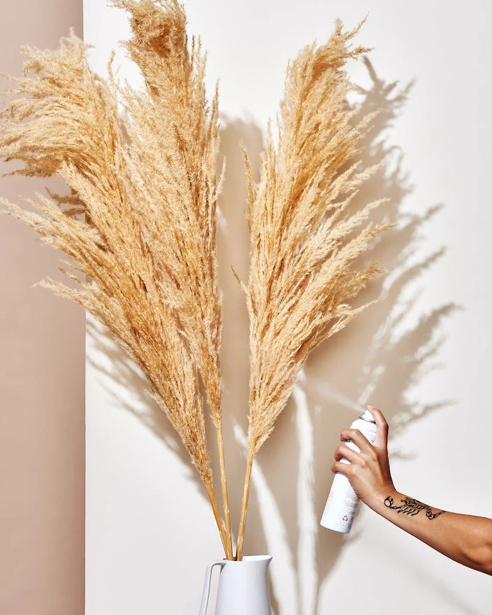 beige and white wall in the background pampas grass being spray painted in gold placed in white vase