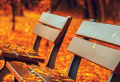 Give Your Screen An Update With A Fall iPhone Wallpaper