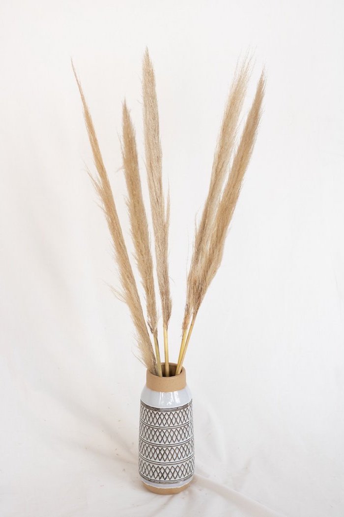 black and white ceramic vase filled with dried pampas grass photographed on white background pampas grass decor