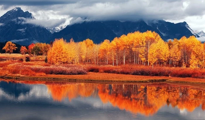 cute fall wallpaper lake surrounded by trees and bushes with yellow orange leaves mountain range in the background