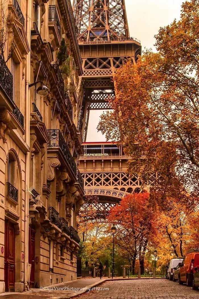 eiffel tower in the background photo taken from street autumn desktop wallpaper tall trees with orange yellow leaves