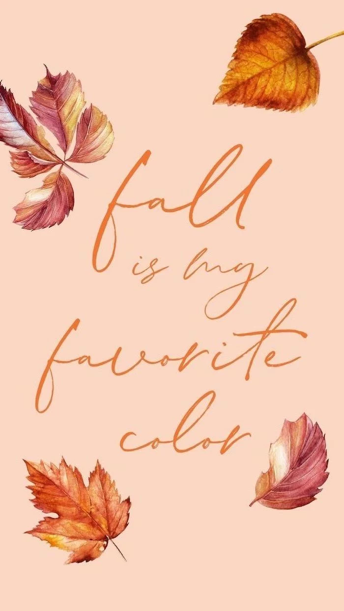 fall is my favorite color written with orange cursive font cute fall backgrounds drawings of four leaves in orange and pink