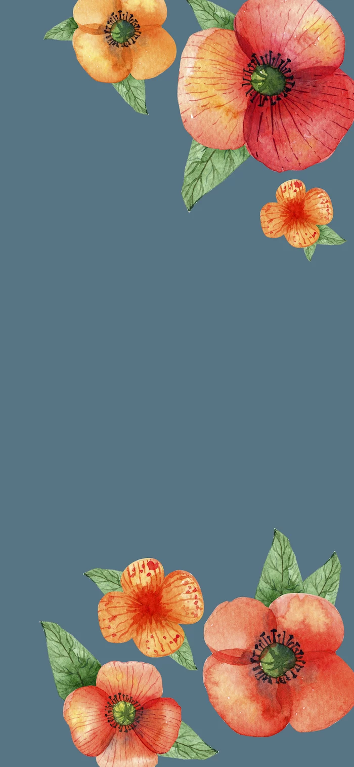fall wallpaper for android blue background drawings of three flowers in watercolor red orange green in both corners