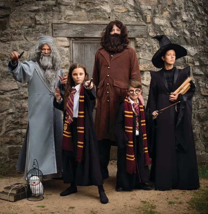 harry potter inspired costumes family halloween costumes hagrid dumbledore hermione mcgonagall harry costumes