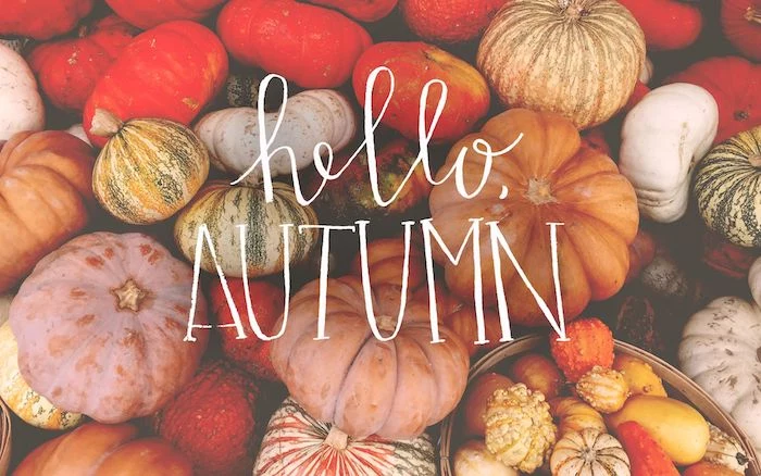 hello autumn written in white cursive font over a photo of pumkpins in different colors and shapes autumn wallpaper