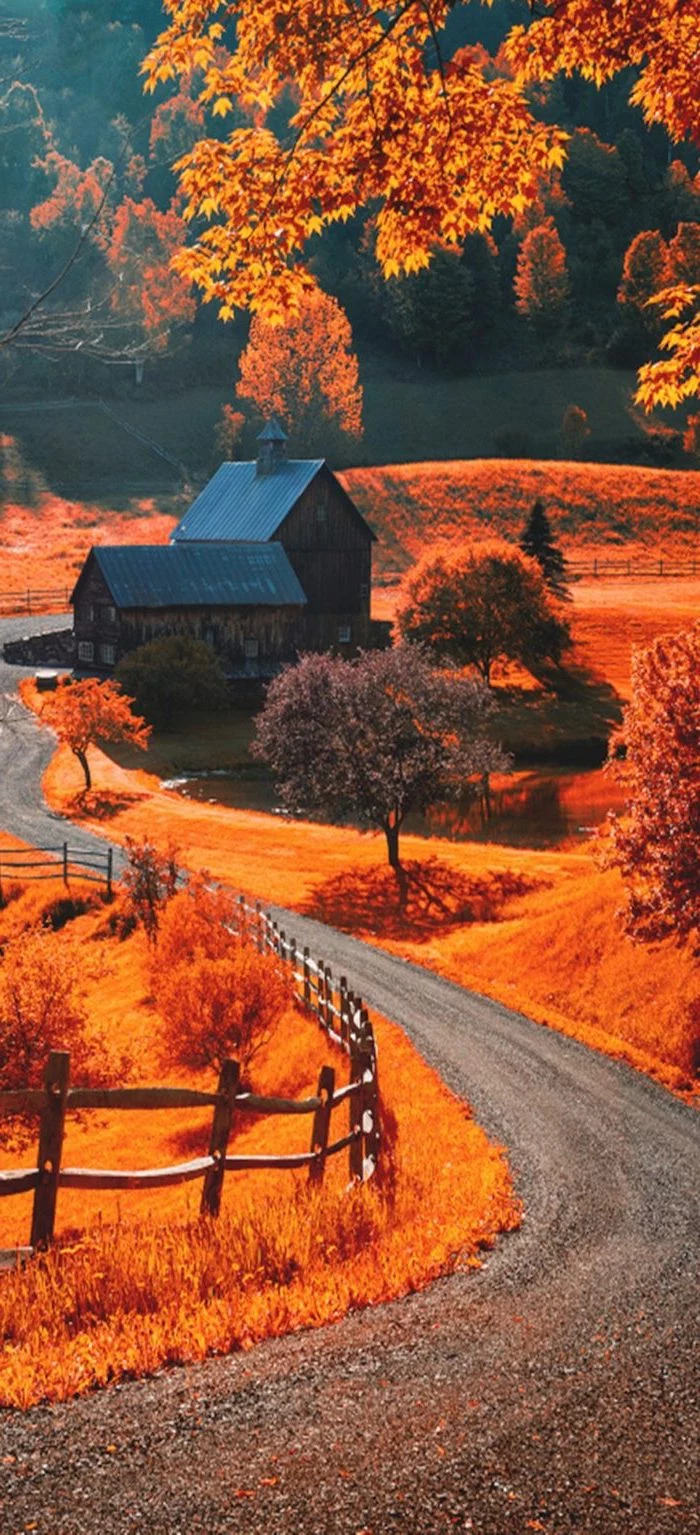 pathway leading to a house in the middle of field with orange grass cute fall wallpaper iphone